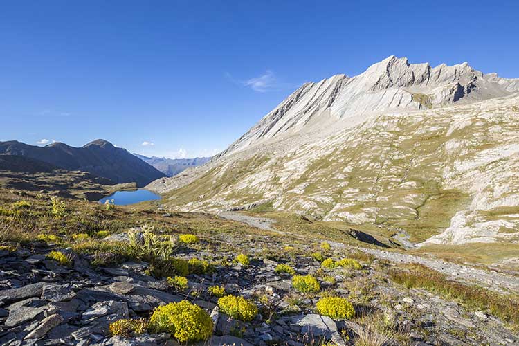 Randonnée pédestre dans les Alpes - Le Tour du Queyras