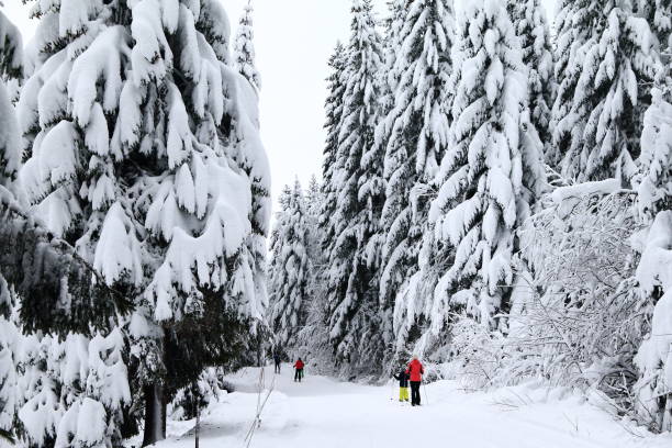 Où partir au ski cet hiver